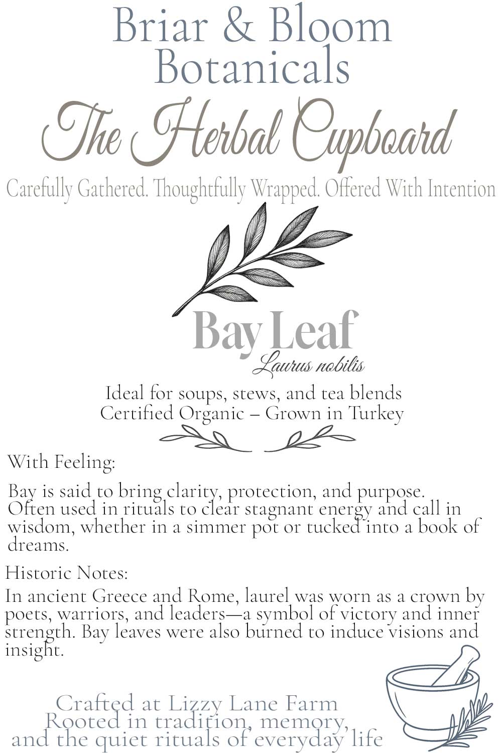 Vintage-style botanical card for Bay Leaf (Laurus nobilis) from Lizzy Lane Farm. Features a bay leaf illustration, key herbal details, traditional uses, and historical notes in an apothecary-inspired layout.