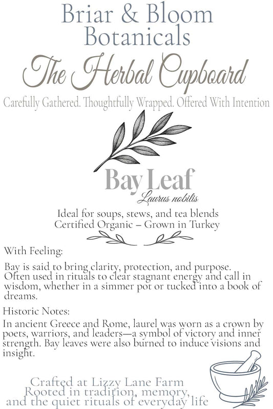 Vintage-style botanical card for Bay Leaf (Laurus nobilis) from Lizzy Lane Farm. Features a bay leaf illustration, key herbal details, traditional uses, and historical notes in an apothecary-inspired layout.