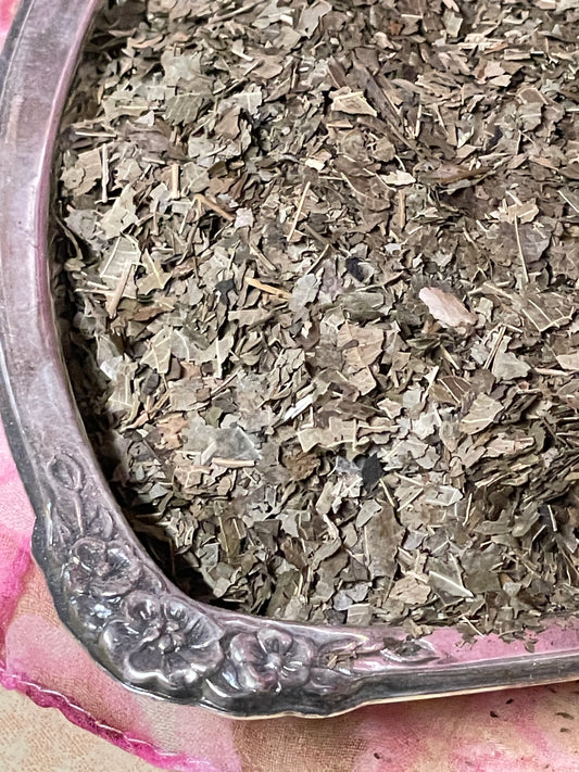 Close-up of cut organic black walnut leaves displayed in a vintage silver-plated bowl, showcasing the textured leaves and rich green color.