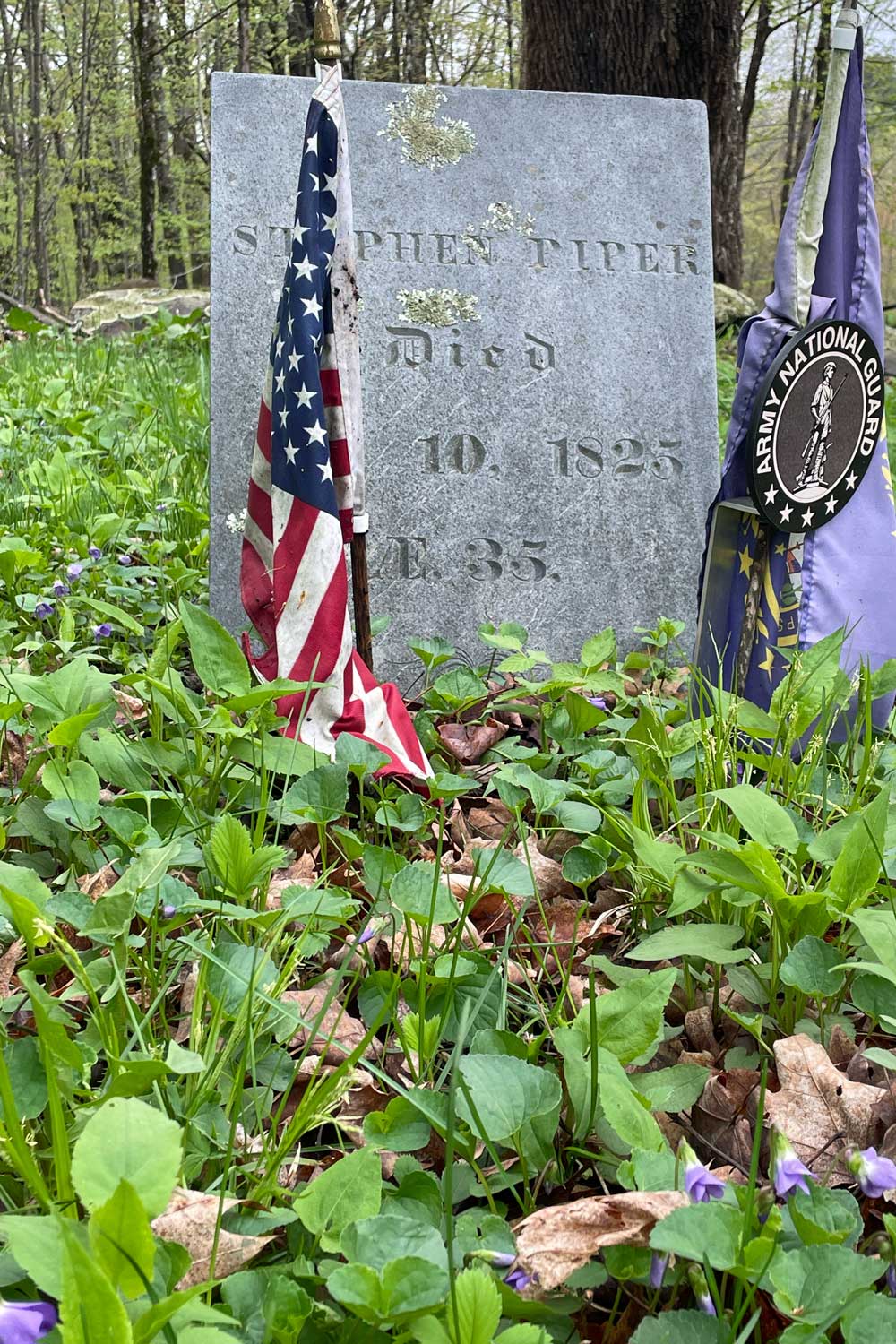 Where Violets Grow Seasonal Dusting Powder Apothecary Shaker