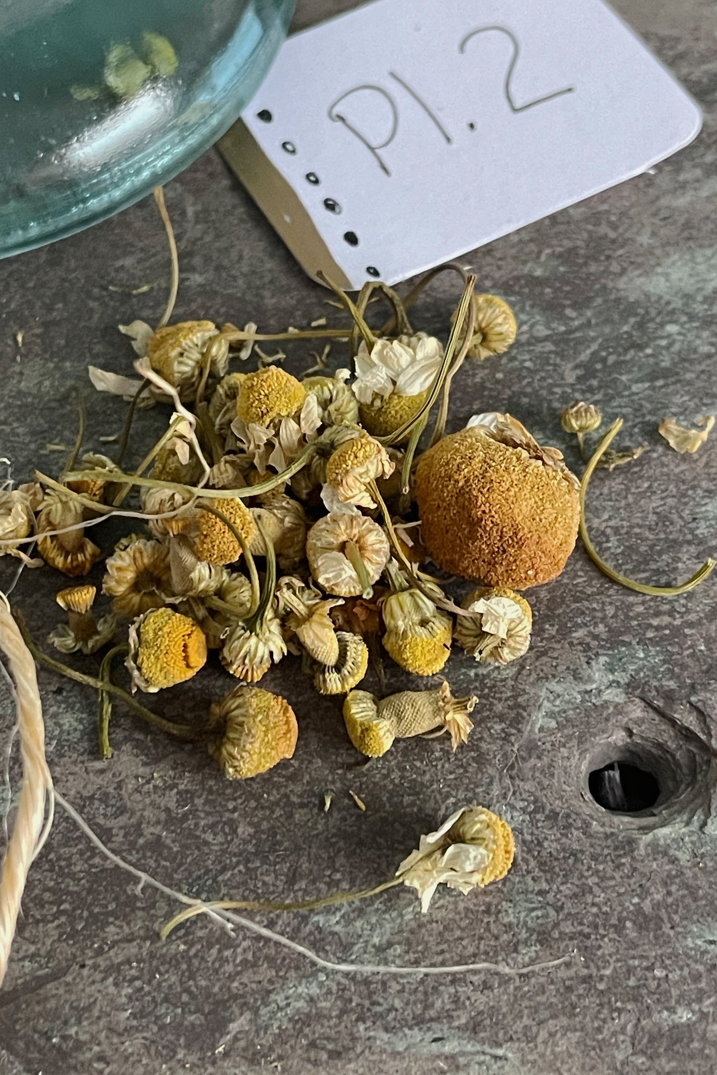 Dried chamomile flowers with handwritten Plate No. 2 tag, stored as part of the Stillroom Herb Cabinet system