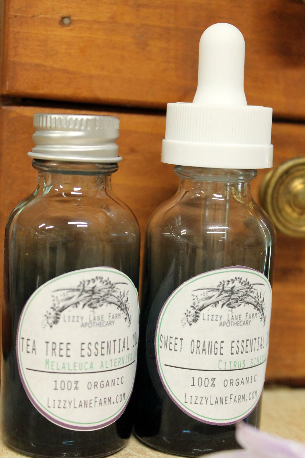 Peppermint Essential Oil – 2% Pre-Diluted in MCT | Uplifting Botanical Oil for Headache Relief, Massage & Foot Soaks