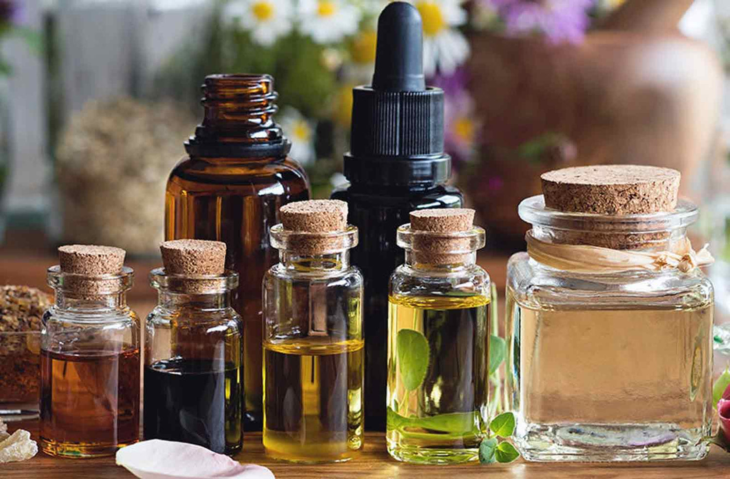 Essential oils in apothecary glass bottles, captured in the stillroom light — a reflection of scent and care
