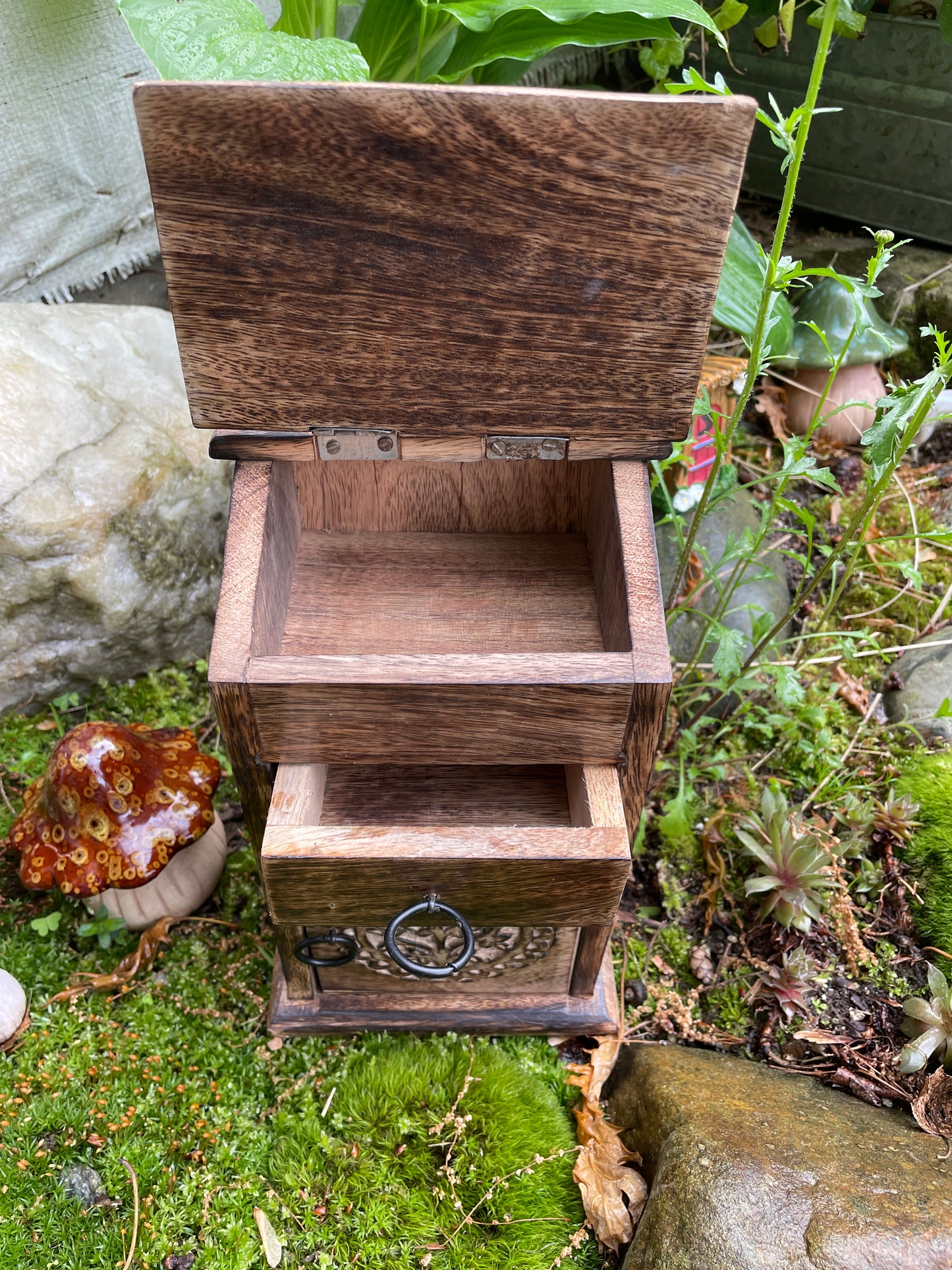 Tree Of Life Herb Chest | Wooden Herb Chest | Wooden Box-Apothecary Box | Crystal Storage | Altar Box