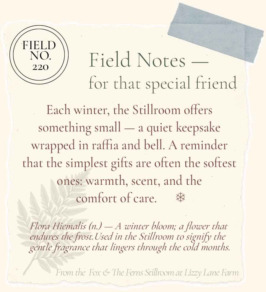 Field No. 220 • Pressed Balsam + Winter Linen Holiday Travel Tin Gift Set · The Midwinter Archive