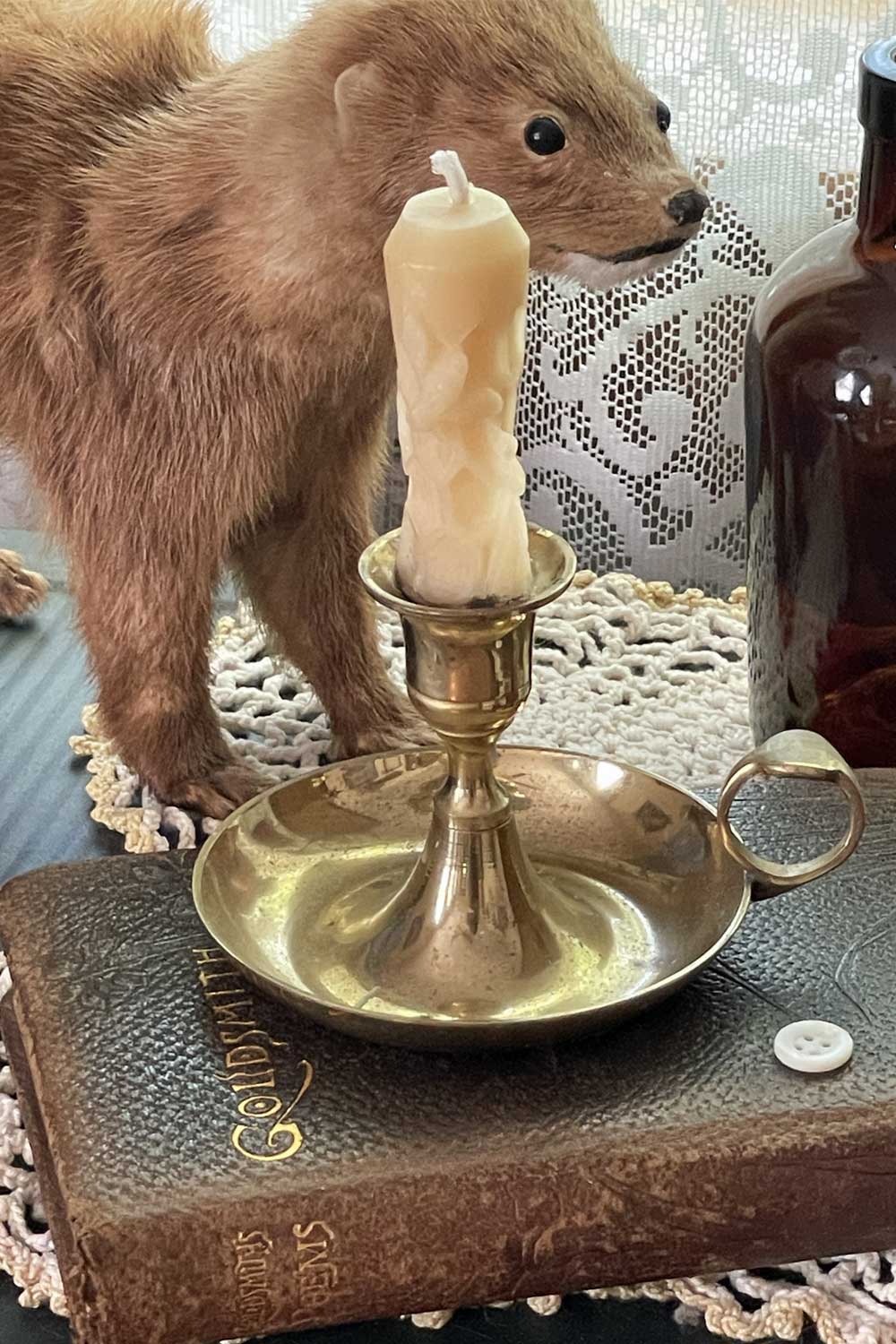 mini bee and honeycomb taper candle sitting on a vintage book while a cute mink sits watching in the background.