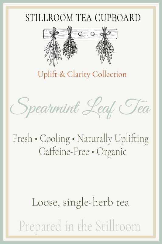 hover card for spearmint leaf tea, information