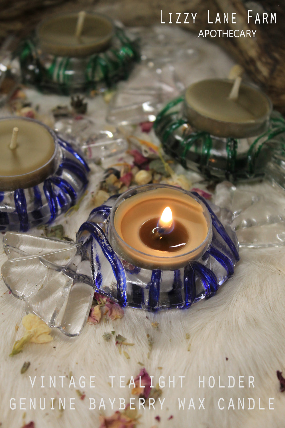Vintage Candy Mint Shaped Tealight Holder with Bayberry Wax Candles | Gift Boxed