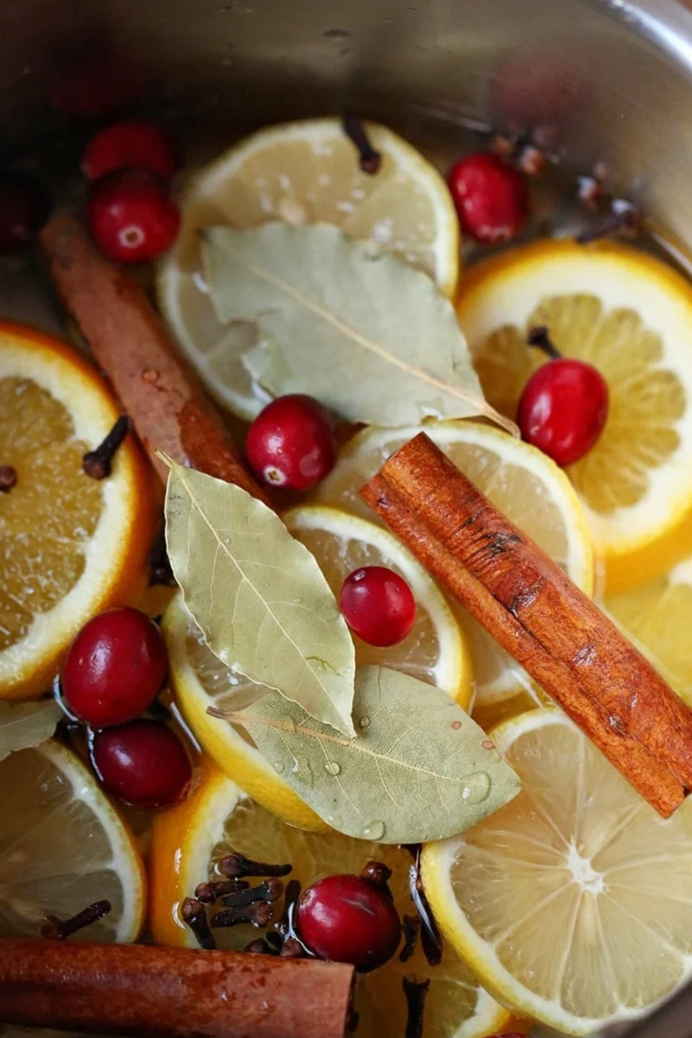 Close-up of a simmering stovetop potpourri with fresh orange slices, cranberries, cinnamon sticks, and bay leaves—natural holiday scent for home fragrance and seasonal wellness.