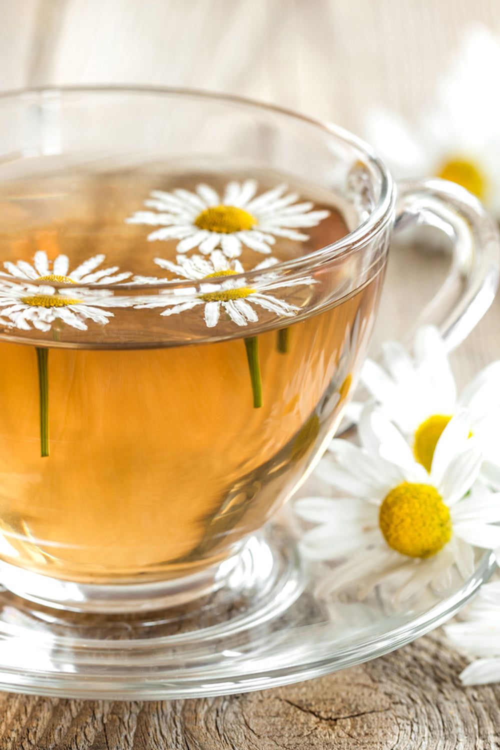 “A moment of calm in every cup—our favorite way to unwind with chamomile tea.”
