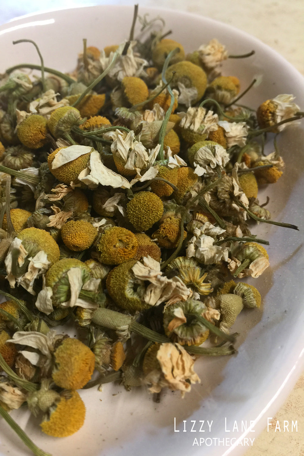 German Chamomile Flower Tops (Matricaria Chamomilla) Organic Chamomile - Lizzy Lane Farm Apothecary