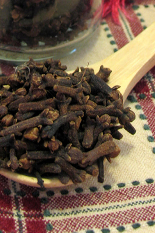 Whole Cloves (Syzygium aromaticum)- Organic Whole Cloves - Lizzy Lane Farm Apothecary