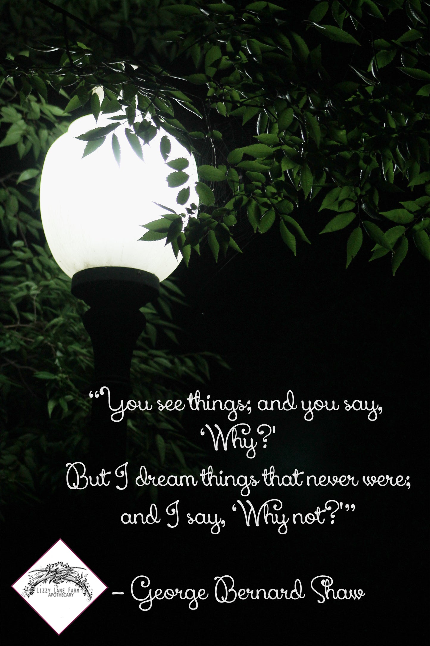 A beautifully lit street lamp on a quiet evening, accompanied by the quote: "You see things and you say why? But I dream of things that never were and say why not." – George Bernard Shaw. Taken on a trip to Washington, D.C., with my Girl Scout troop during their study of American history.