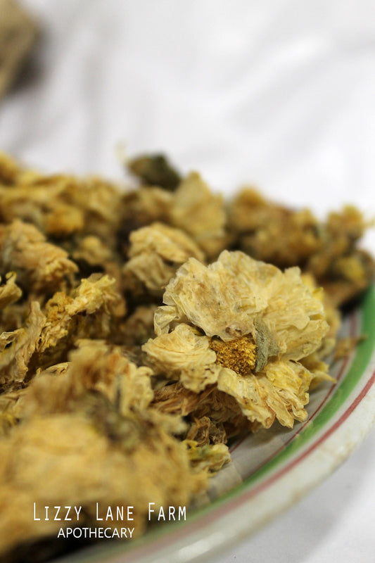 A vintage stoneware dish showcasing beautifully dried Chrysanthemum flowers, evoking a timeless, old-world apothecary feel.