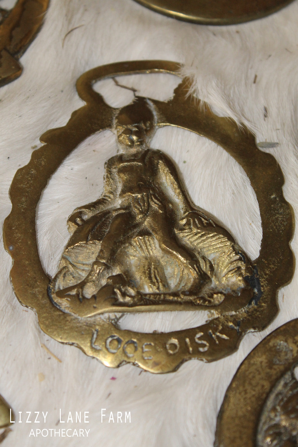 Horse Harness Brass | Protection | Talisman | Travel Charm