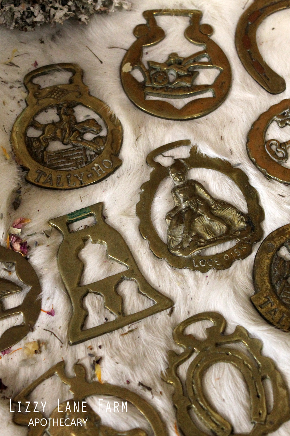 Horse Harness Brass | Protection | Talisman | Travel Charm