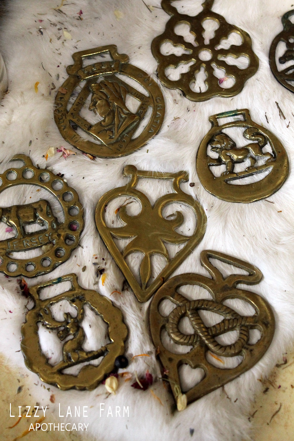 Horse Harness Brass | Protection | Talisman | Travel Charm