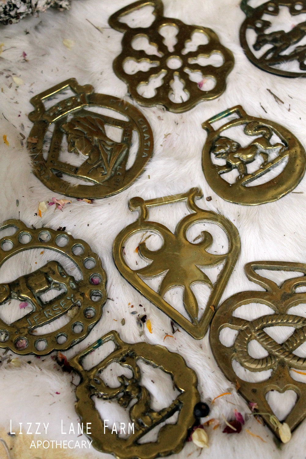 Horse Harness Brass | Protection | Talisman | Travel Charm
