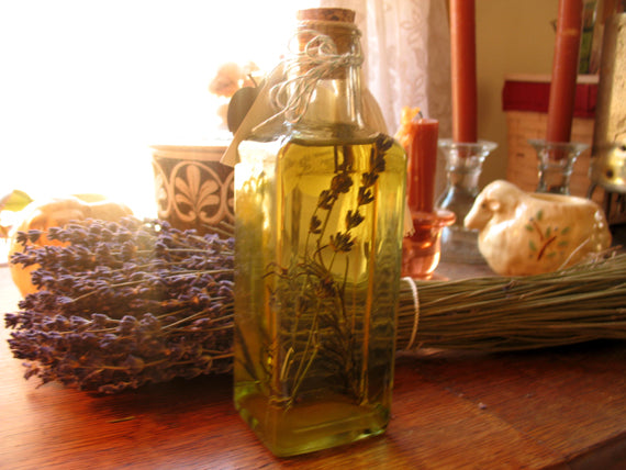 infusing herbs in oil bottle sitting in front of sunny window