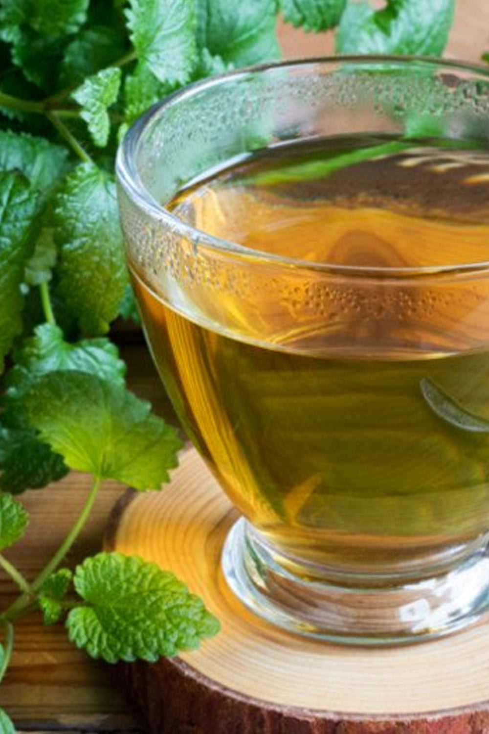 A steaming cup of lemon balm tea with fresh lemon balm leaves placed elegantly beside it, capturing the soothing essence of the herbal beverage.