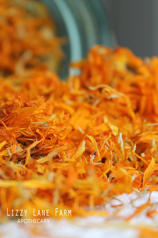 Organic Calendula Petals spilling from a vintage blue ball canning jar, showcasing the bright, vibrant orange flowers, perfect for tea, skincare, and natural remedies.