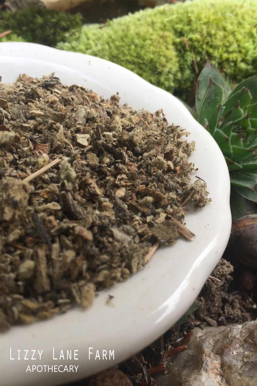 a pretty bowl of freshly dried mullein leaf sitting on a bed of growing moss