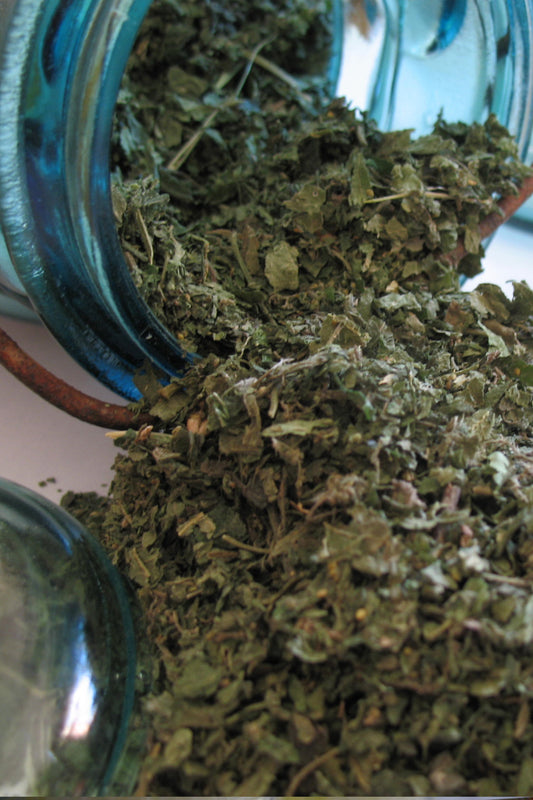 organic nettle spilling out of a vintage blue ball jar
