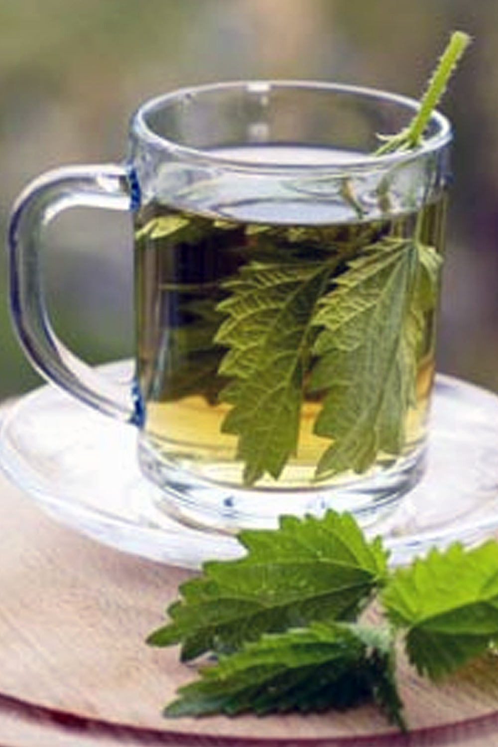 a beautiful cup of nettle tea