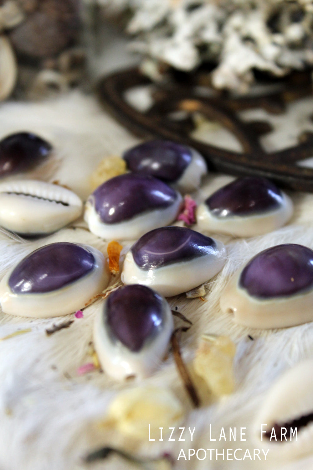 Purple Top Cowrie Shells | Powerful Divine Feminine Magic | Good Luck Charms | Charm Bag