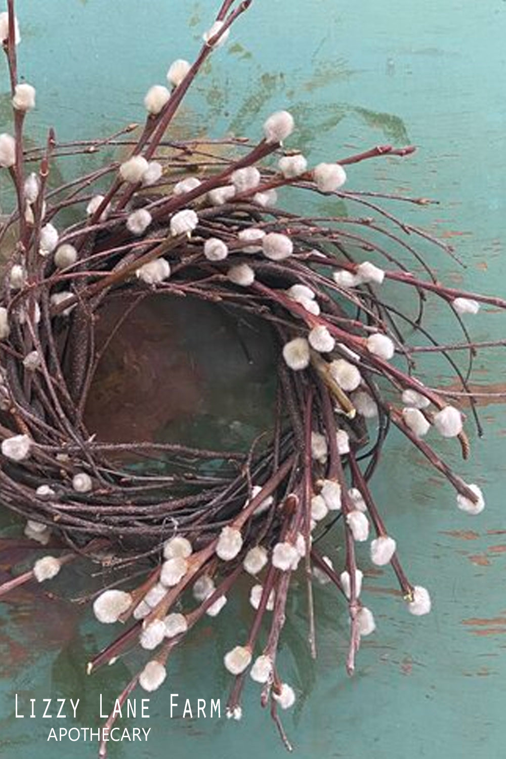 pussy willow wreath