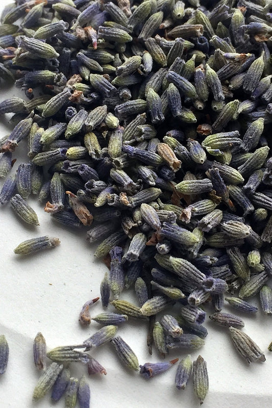 A close-up of deep blue lavender buds spilling over the rim of a vintage mason jar with a zinc lid, showcasing the vibrant color and texture of the buds.