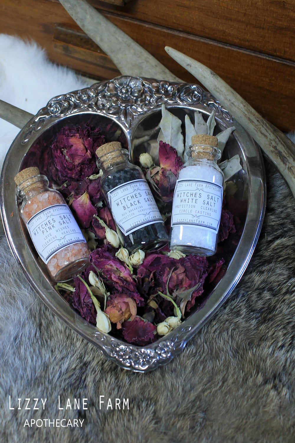 witches salt trio set