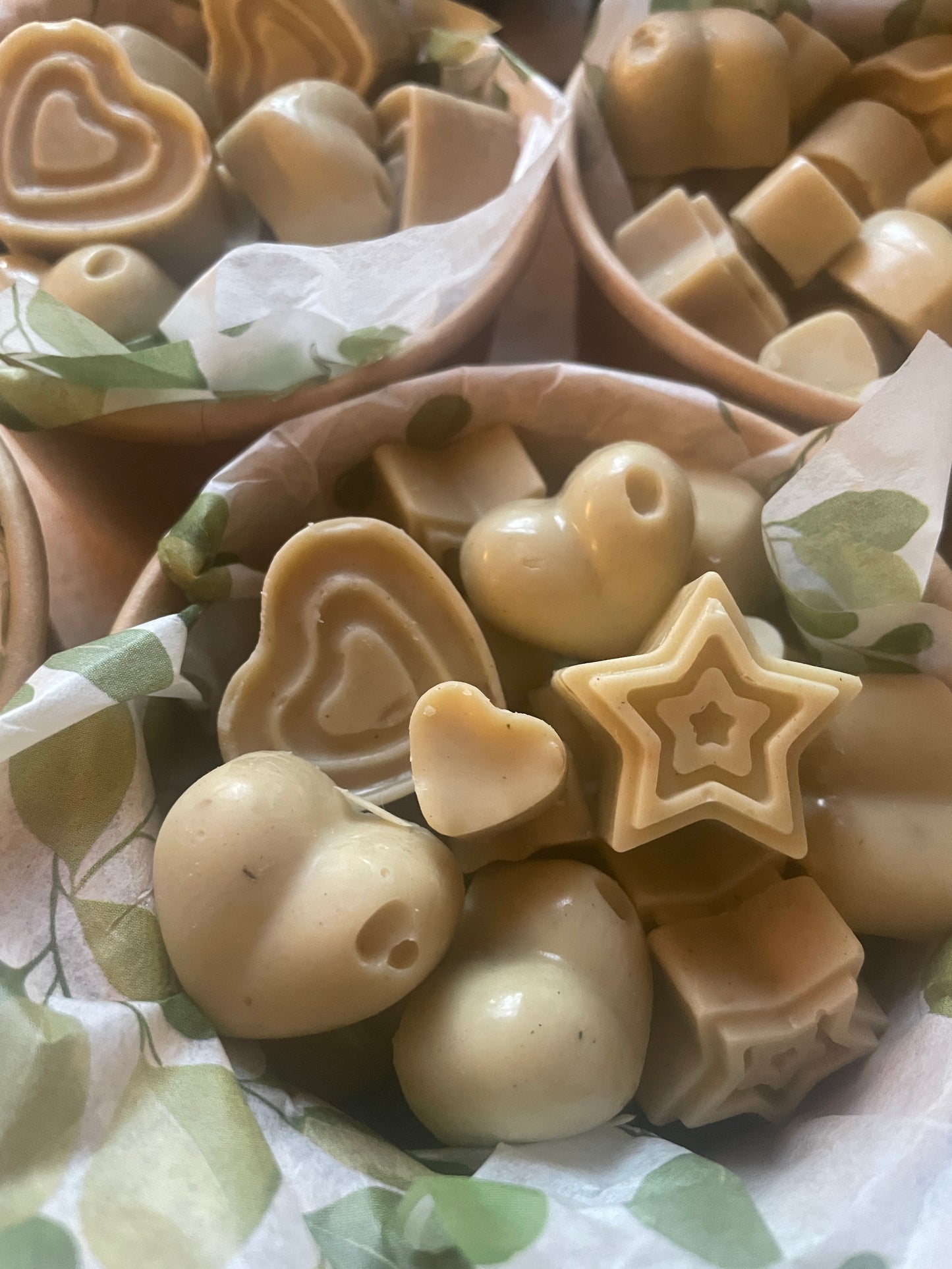 Mushroom Forest Wax Melts | Beeswax Wax Melts