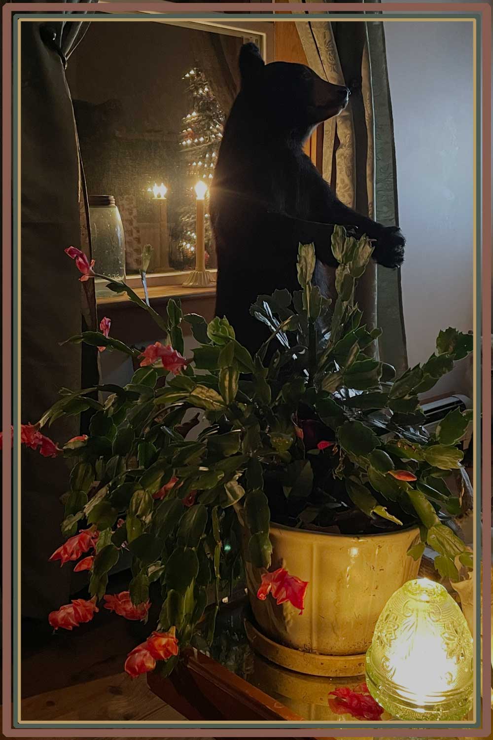 the stillroom watchman, wilber- a friend of the mink and the fox.