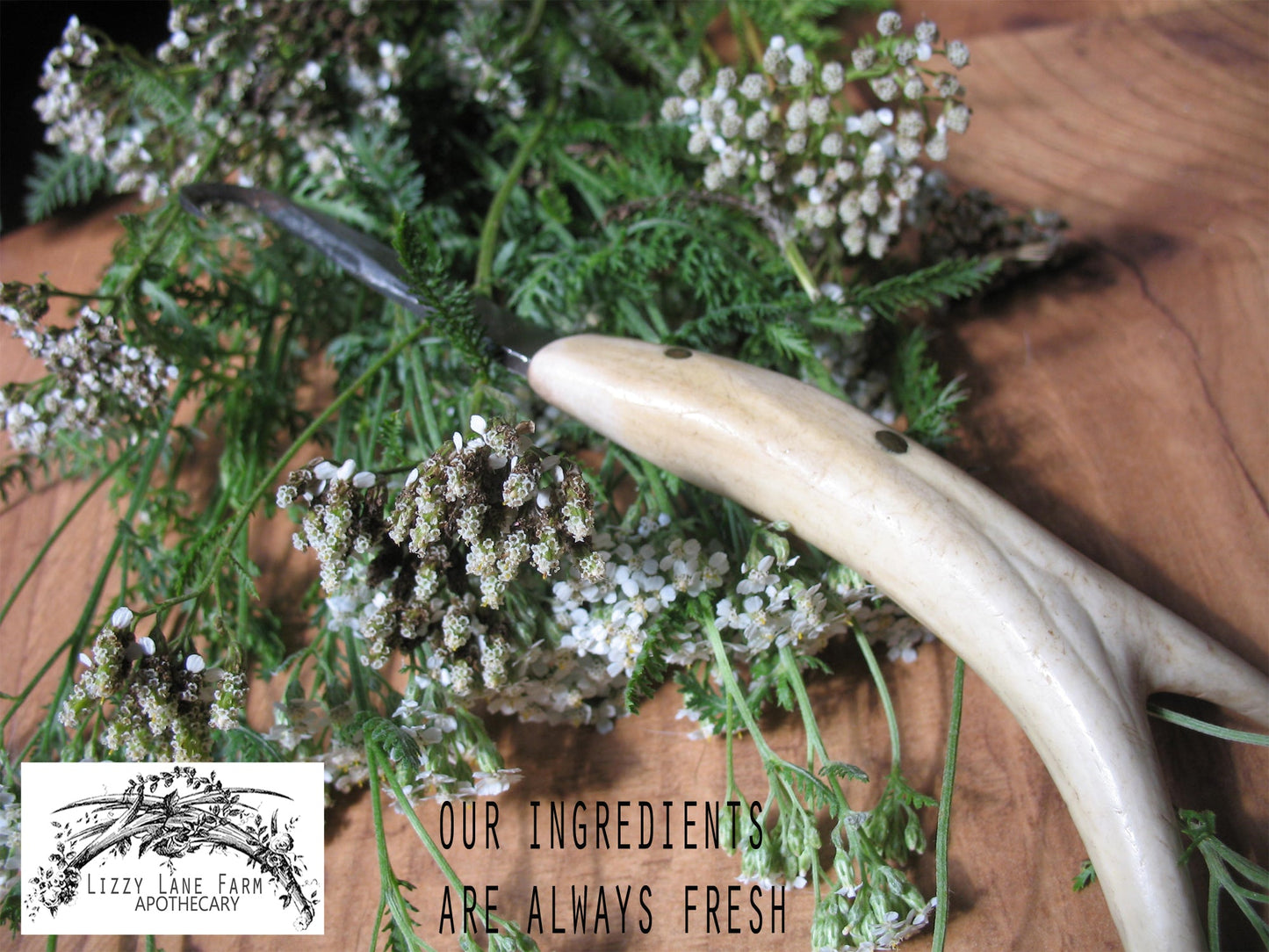 Organic Herbal Facial Steam - Lizzy Lane Farm Apothecary