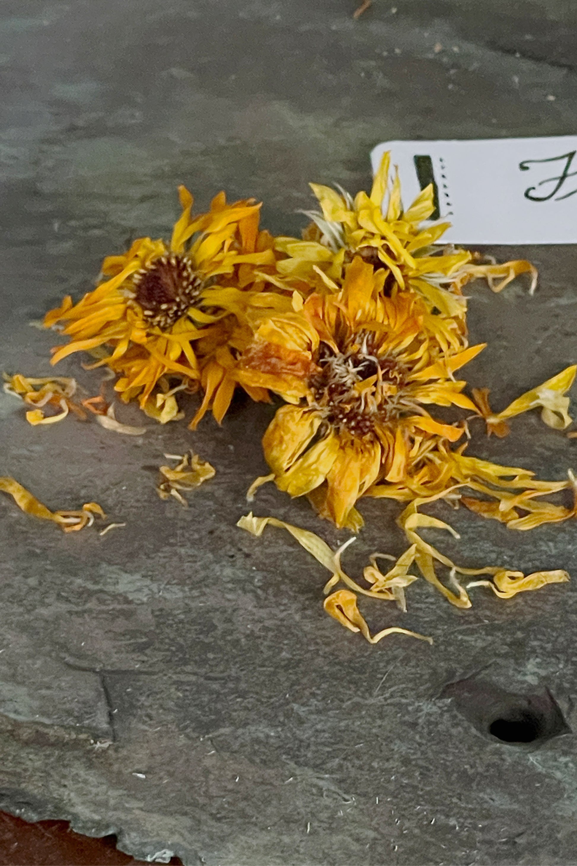 Dried calendula flowers on slate, showing golden petals and natural texture from Lizzy Lane Farm herbal cabinet
