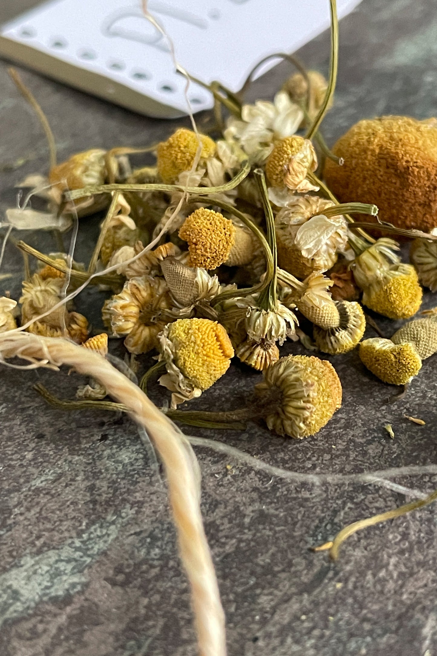Whole chamomile blossoms, carefully dried to preserve aroma, color, and gentle potency.