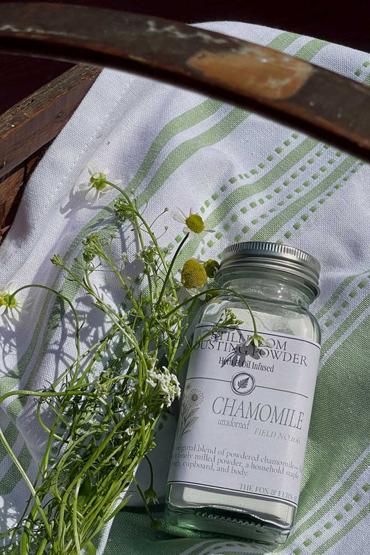 A glass jar of Chamomile Herbal body powder by The Fox and the Ferns, styled with fresh chamomile flowers on a green and white striped kitchen towel.