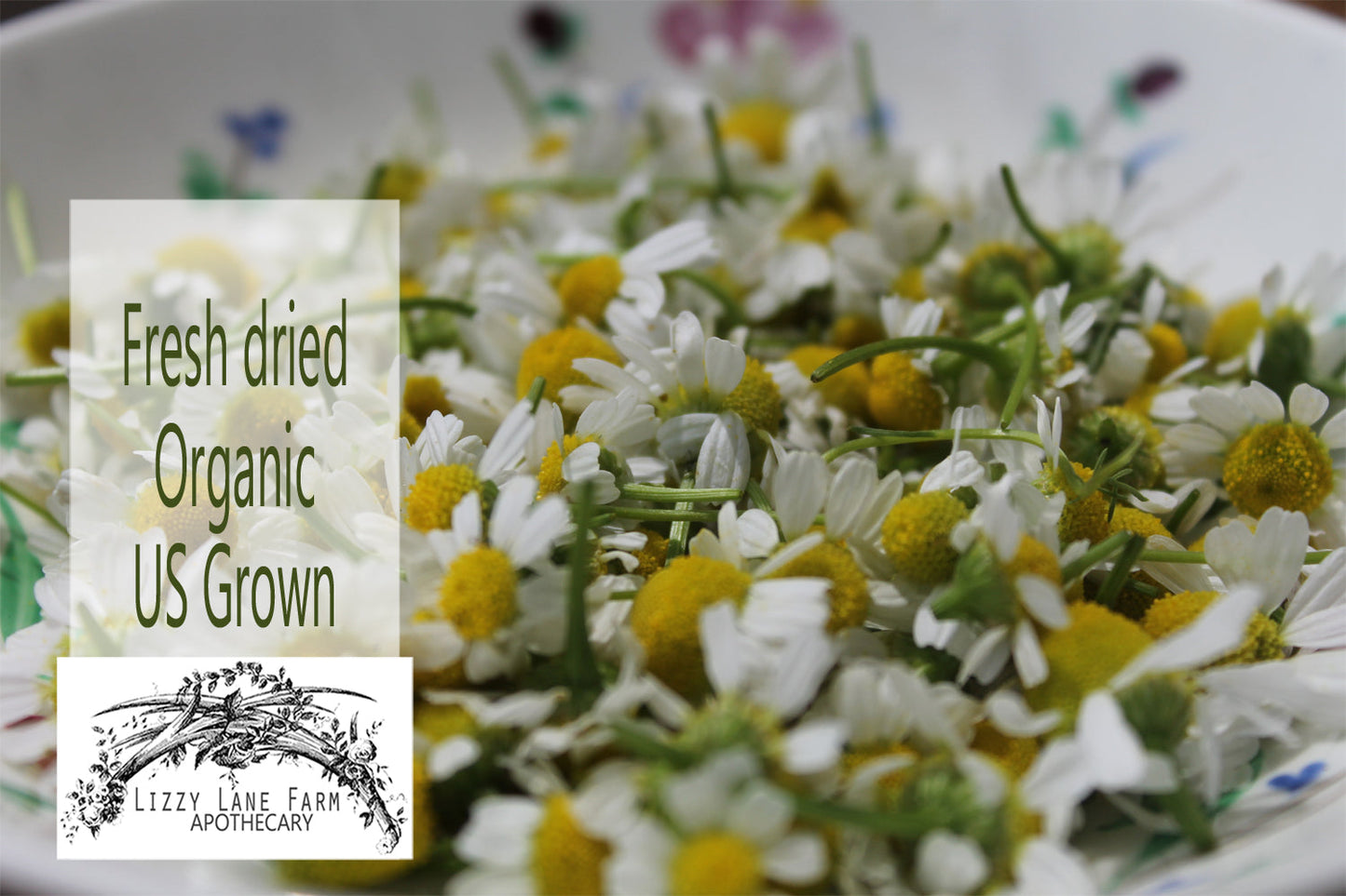 German Chamomile Flower Tops (Matricaria Chamomilla) Organic Chamomile - Lizzy Lane Farm Apothecary