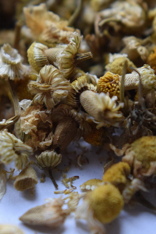 German Chamomile Flower Tops (Matricaria Chamomilla) Organic Chamomile - Lizzy Lane Farm Apothecary