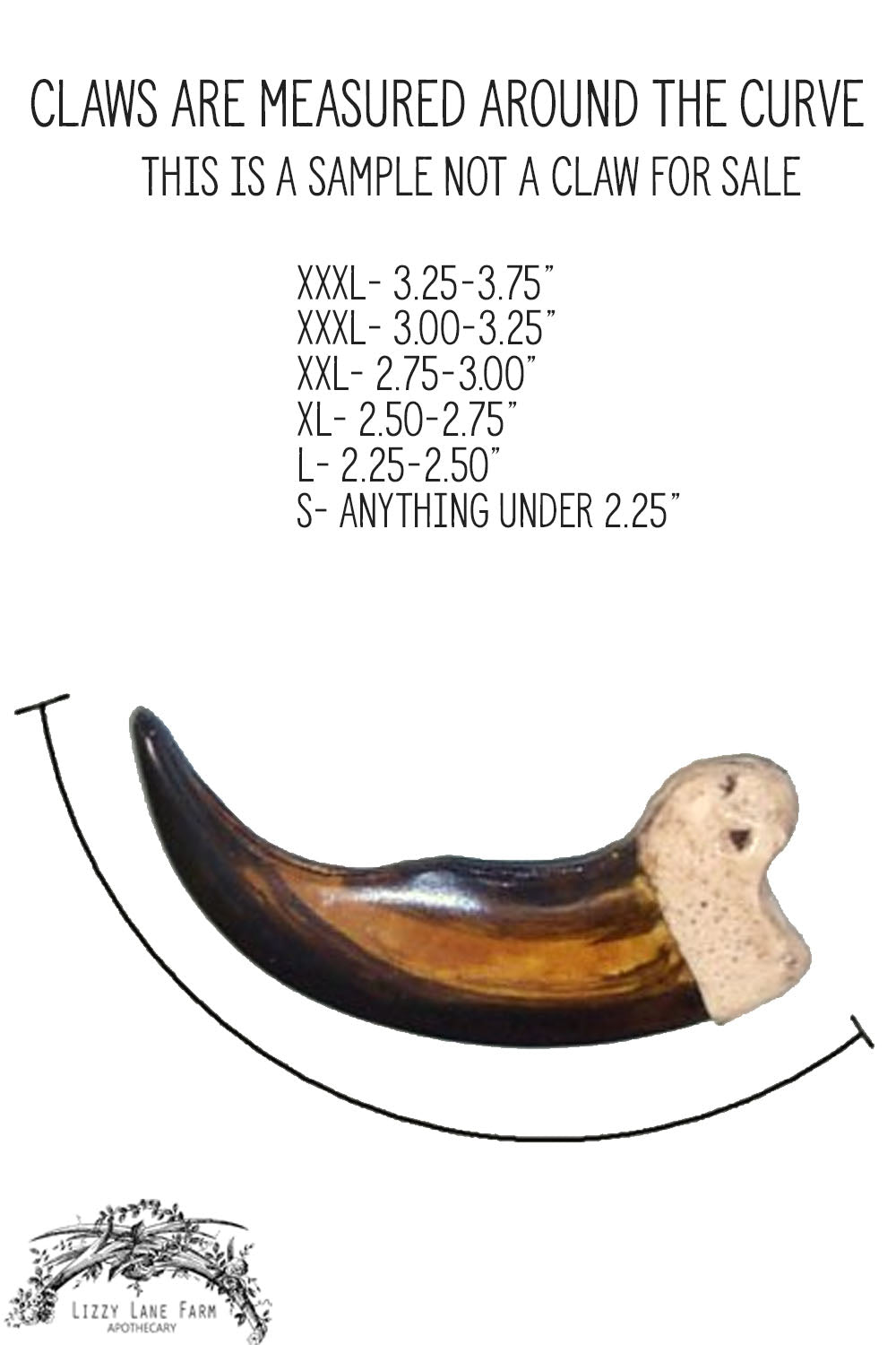how bear claws are measured
