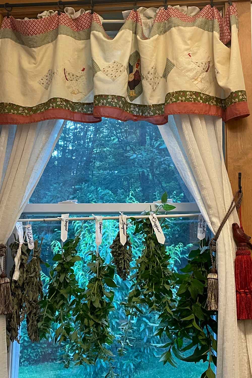 Herbs hanging to dry in the stillroom window, sunlight catching lavender and chamomile bundles — traditional preparation for Herb & Oil Infused Dusting Powders