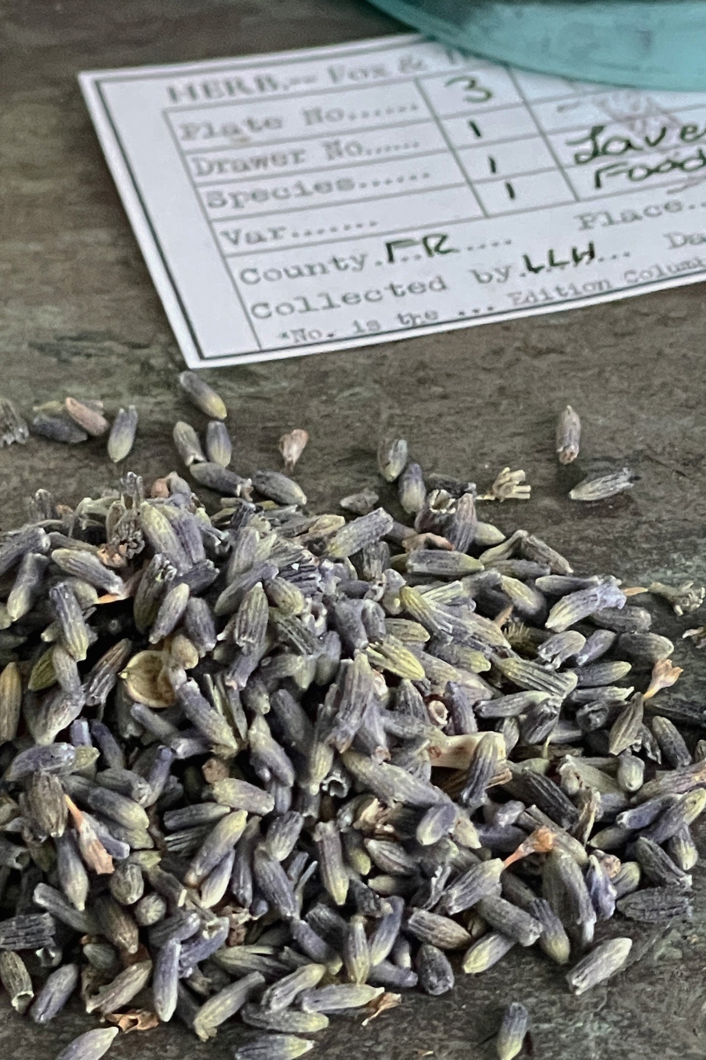 Close-up of dried food-grade lavender buds showing color and texture on a stone surface