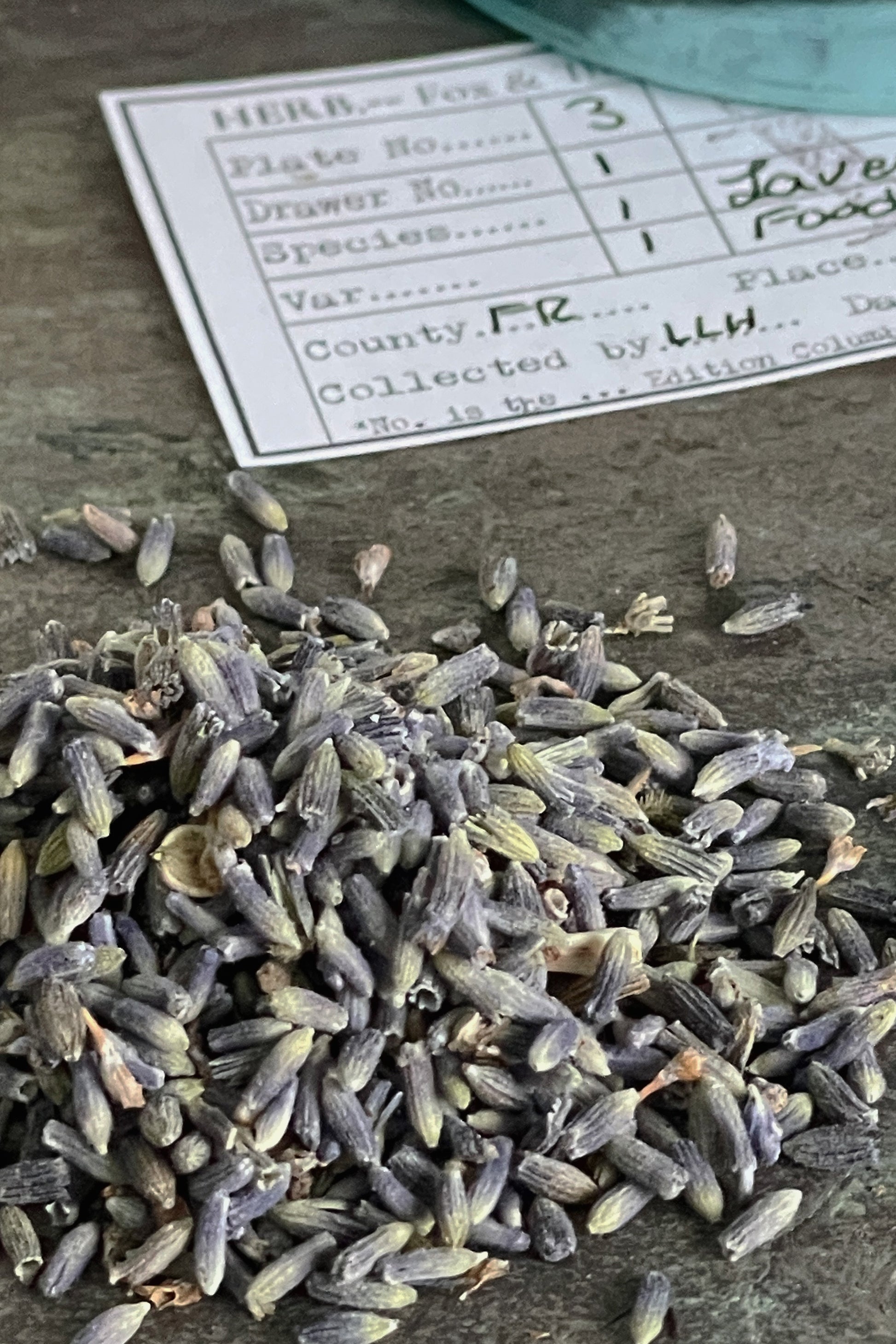 Close-up of dried food-grade lavender buds showing color and texture on a stone surface