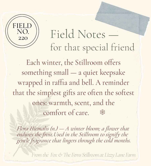 Field No. 220 • Pressed Balsam + Winter Linen Holiday Travel Tin Gift Set · The Midwinter Archive