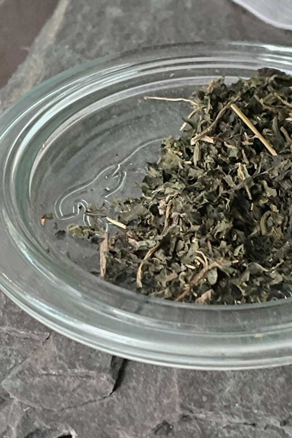 nettle leaf loose herb tea resting on glass canning jar lid