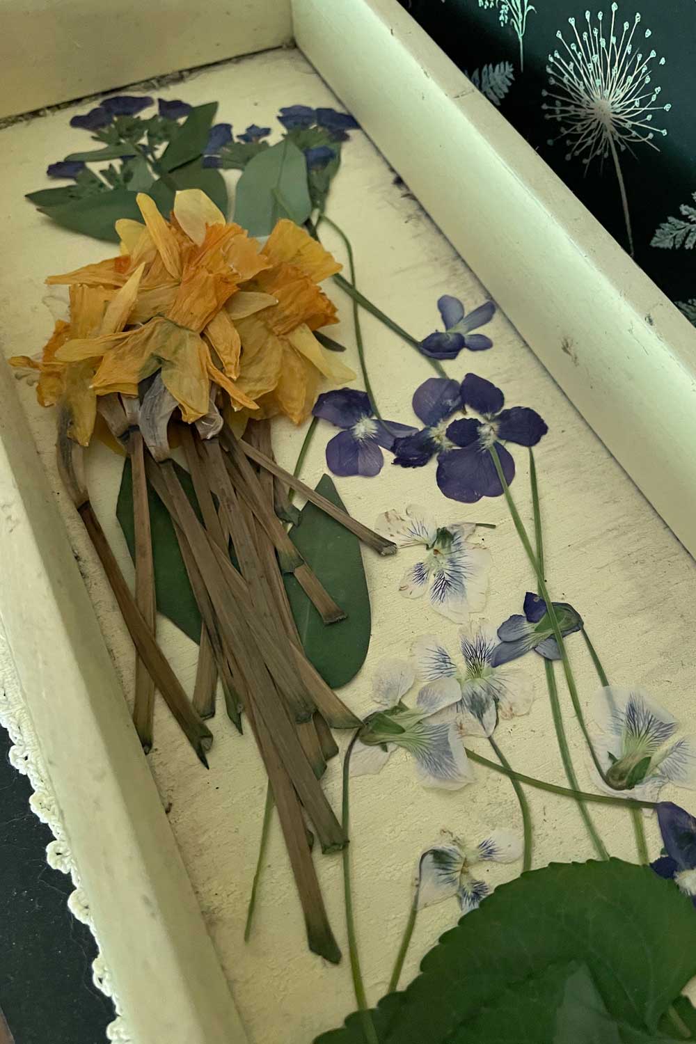 Where Violets Grow – Limited Edition Dusting Powder & Soap