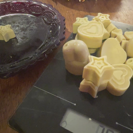 mushroom wax melts
