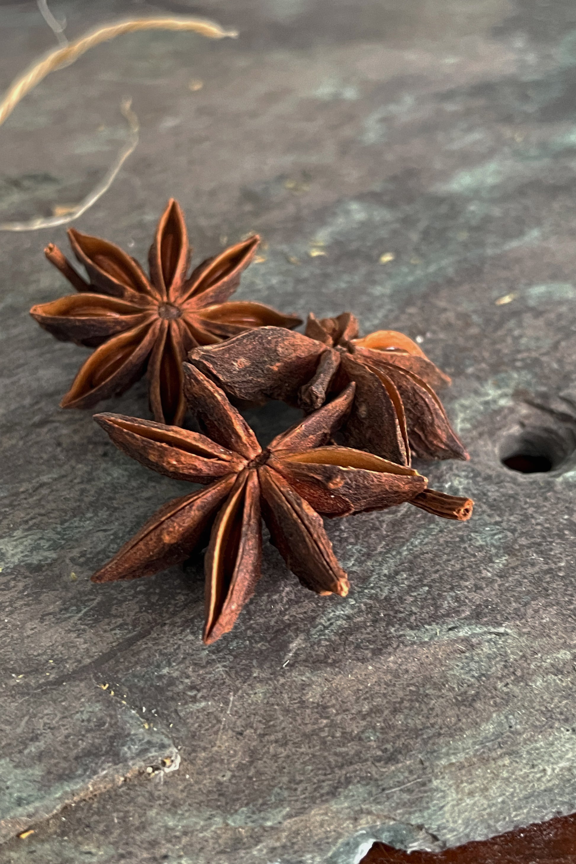 Whole dried organic star anise pods on dark slate, photographed in natural light for a stillroom herb cabinet.