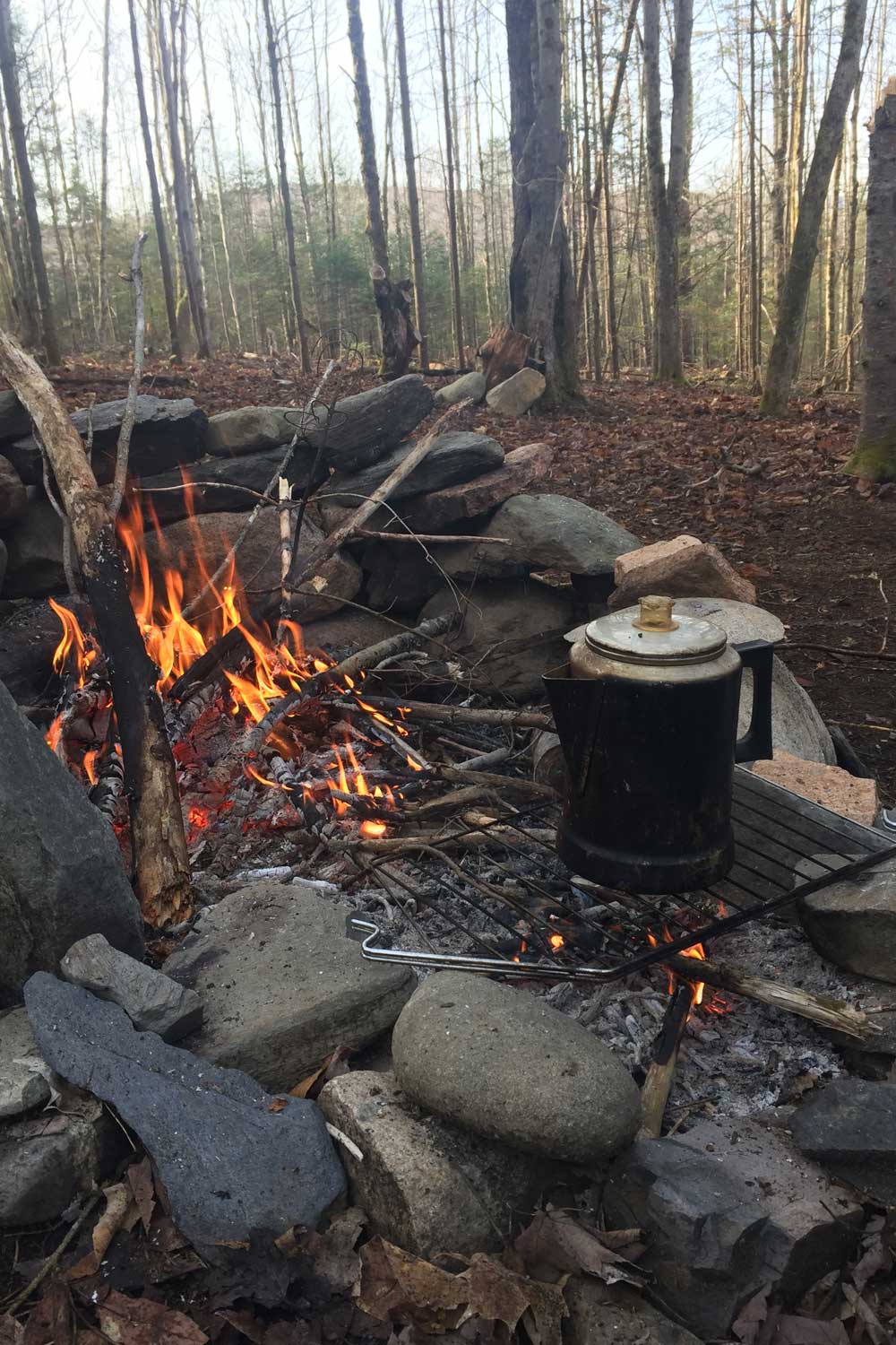 Black enamel campfire teapot heating over an open fire in a stone ring, surrounded by forest in early spring.